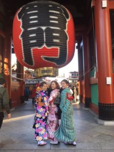 浅草レンタル着物小梅の着物の種類